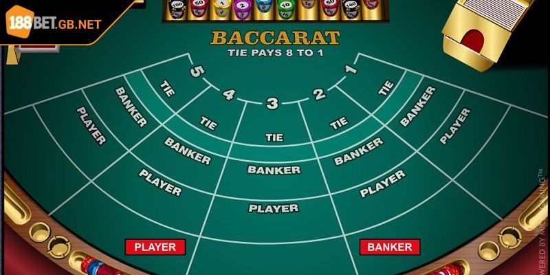 Chi tiết các bước cho hội viên đặt cược