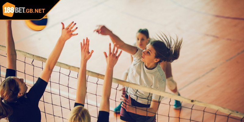 Khám phá về cược bóng chuyền 188BET