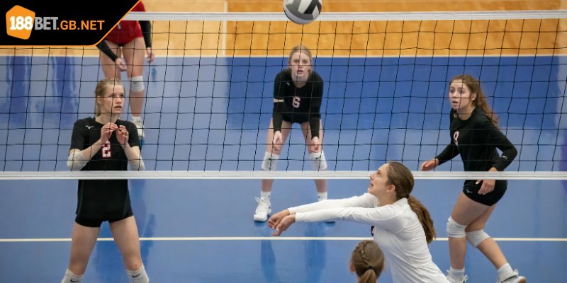 Tips cá cược bóng chuyền đến từ cao thủ hay nhất