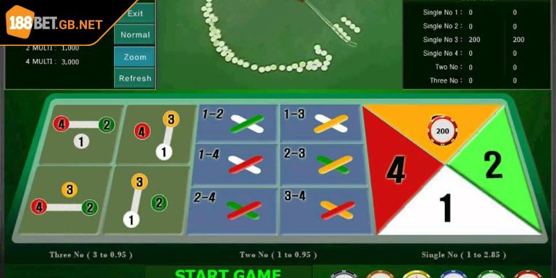 Các loại hình có thể trải nghiệm khi tham gia