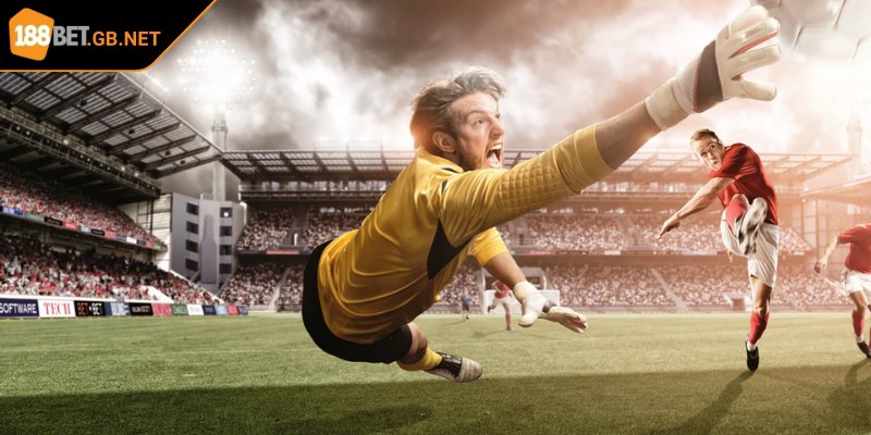 Đa dạng hóa sớm lựa chọn loại để tăng cơ hội